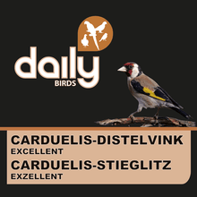 Lade das Bild in den Galerie-Viewer, Carduelis- Distelfink Excellent