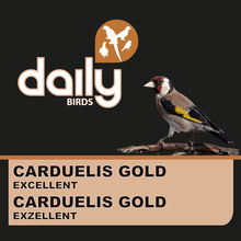 Lade das Bild in den Galerie-Viewer, Carduelis Gold Excellent