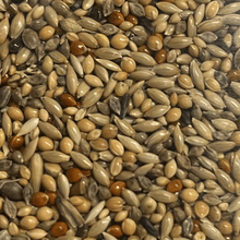 Lade das Bild in den Galerie-Viewer, Wellensittichfutter Super Zucht