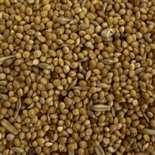 Lade das Bild in den Galerie-Viewer, Wellensittich Saatenfutter Spezial