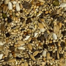 Lade das Bild in den Galerie-Viewer, Großsittich Neophemen ohne Sonnenblumenkerne