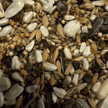 Lade das Bild in den Galerie-Viewer, Großsittichmischung mit Sonnenblumenkernen