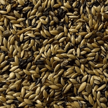 Lade das Bild in den Galerie-Viewer, Kanarienfutter ohne Raps
