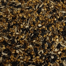 Lade das Bild in den Galerie-Viewer, Unkrautsamen - Wildsamen