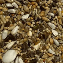 Lade das Bild in den Galerie-Viewer, Großsittich Superior mit Melone, Gurke und Hagebuttenkernen