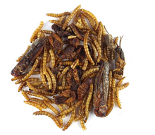 Lade das Bild in den Galerie-Viewer, Igel-Fit 75g