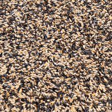 Lade das Bild in den Galerie-Viewer, Zeisige & Stieglitz Super