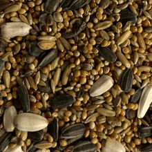 Lade das Bild in den Galerie-Viewer, Nymphensittichsamen-Spezial (mit Sonnenblumenkernen)