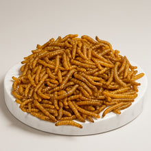 Lade das Bild in den Galerie-Viewer, Mehlwürmer - getrocknet