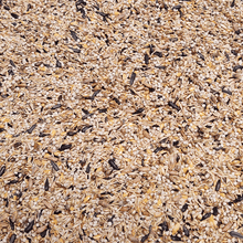 Lade das Bild in den Galerie-Viewer, Carduelis- Distelfink Excellent