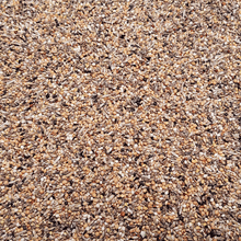 Lade das Bild in den Galerie-Viewer, Gould Excellent