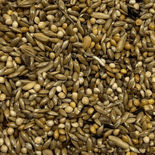 Lade das Bild in den Galerie-Viewer, Wellensittichfutter Excellent