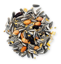 Lade das Bild in den Galerie-Viewer, Rudloff Sing Bird