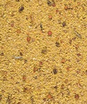 Lade das Bild in den Galerie-Viewer, Gold Patee Großsittiche &amp; Papageien
