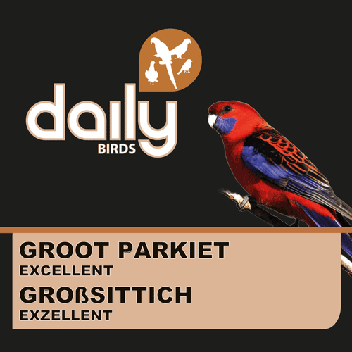 Großsittich  Excellent