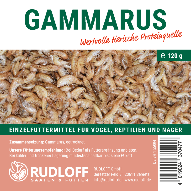 Gammarus