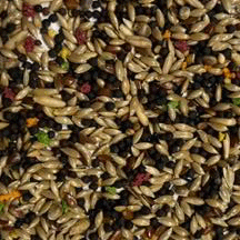 Lade das Bild in den Galerie-Viewer, Kanarienfutter-Spezial
