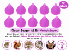 Lade das Bild in den Galerie-Viewer, Kleinstsauger #2 Eichhörnchen-Fledermäuse-Mäuse_usw
