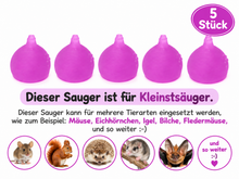 Lade das Bild in den Galerie-Viewer, Kleinstsauger #2 Eichhörnchen-Fledermäuse-Mäuse_usw
