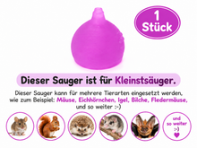 Lade das Bild in den Galerie-Viewer, Kleinstsauger #2 Eichhörnchen-Fledermäuse-Mäuse_usw
