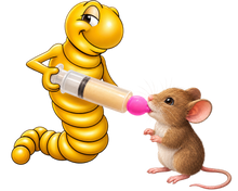 Lade das Bild in den Galerie-Viewer, Mouse Pack

