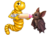 Lade das Bild in den Galerie-Viewer, Fledermaus Feeding Tip
