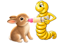 Lade das Bild in den Galerie-Viewer, Bunny Nip Value Pack
