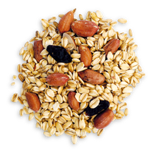 Lade das Bild in den Galerie-Viewer, Rudloff Fettfutter Premium Schalenlos 10 kg
