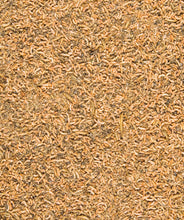 Lade das Bild in den Galerie-Viewer, Orlux Insect Patee Premium - Min. 50% Insekten  2kg
