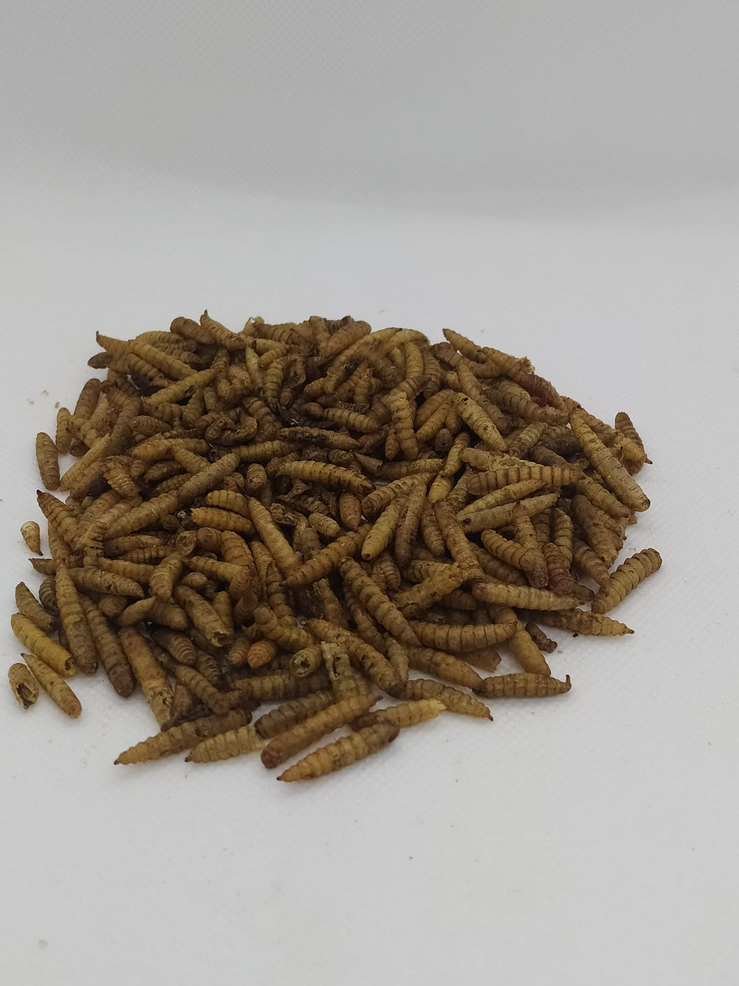 Soldatenfliegenlarven/Hermetia getrocknet