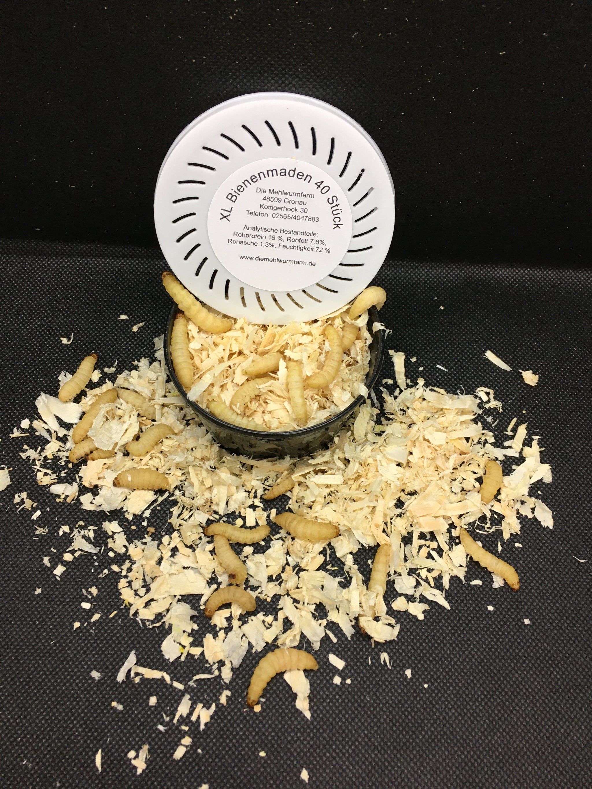 bienenmaden aufbewahren Premium Bienenmaden in der Angeldose – Die Mehlwurmfarm